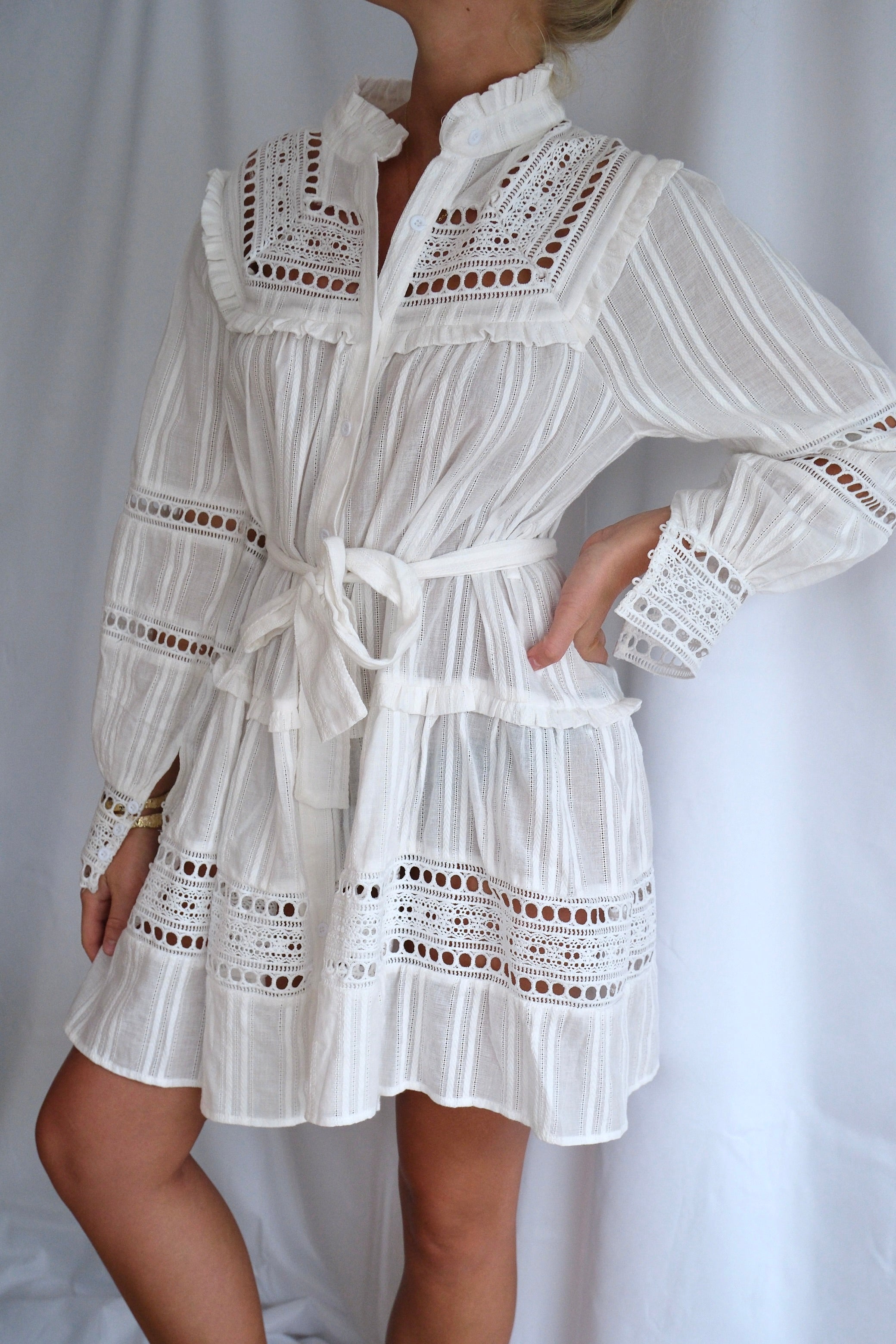 Embroidered Eyelet Long Sleeve Mini Dress