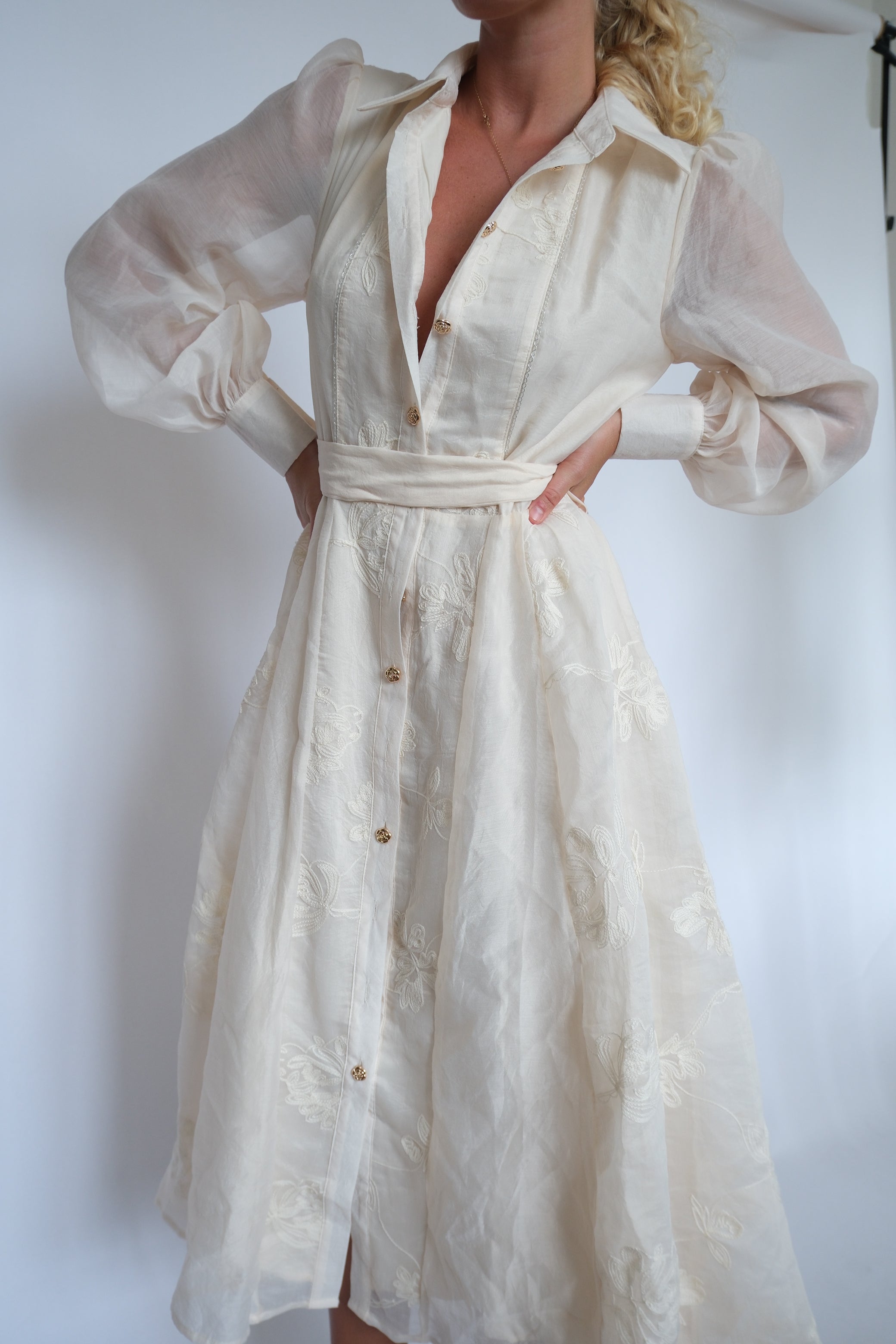 Sheer Elegance Embroidered Midi Dress